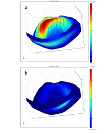 Time-Resolved Optical Tomography in Preclinical Studies: Propagation of ...