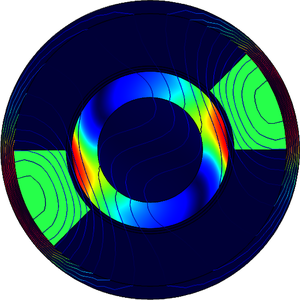Single-Phase Induction Motor: TEAM Workshop Problem 30