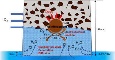 海上钢筋混凝土结构的传质、腐蚀和开裂耦合模型研究