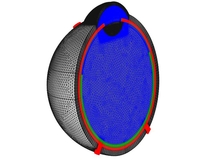Drug Distribution in the Human Eye