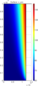 Advanced simulation in medicine and biology: Opportunities for multiphysics ...